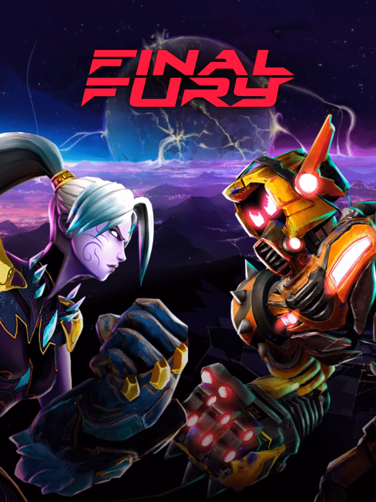 Final Fury poster